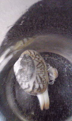 e0005658_11574076.jpg