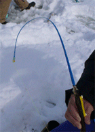 f0163063_1794833.gif