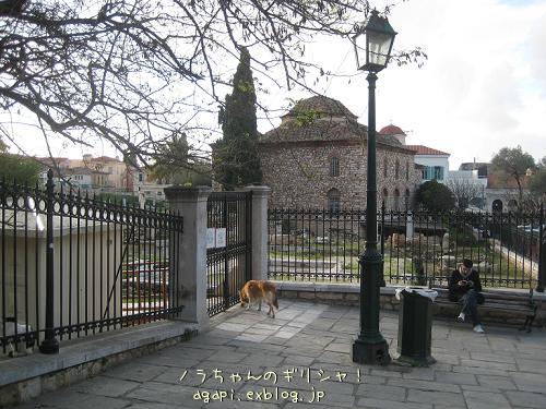 f0037264_1513233.jpg