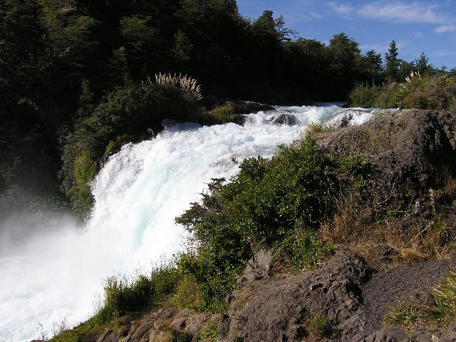 c0103368_453455.jpg