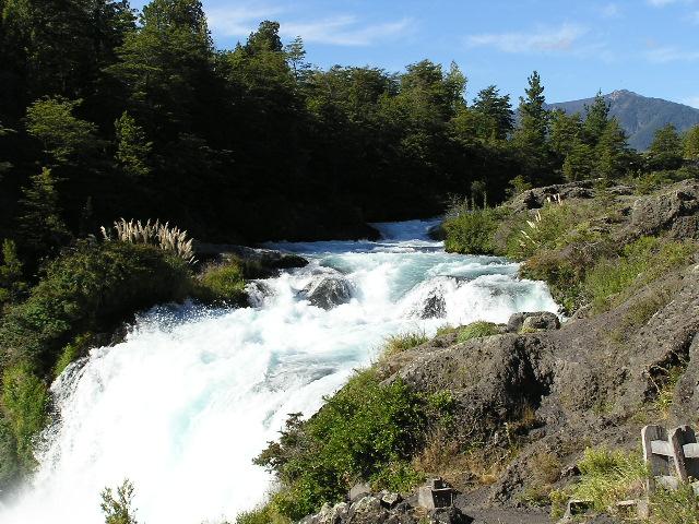 c0103368_46139.jpg