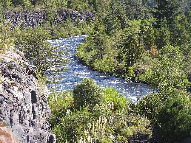 c0103368_465240.jpg