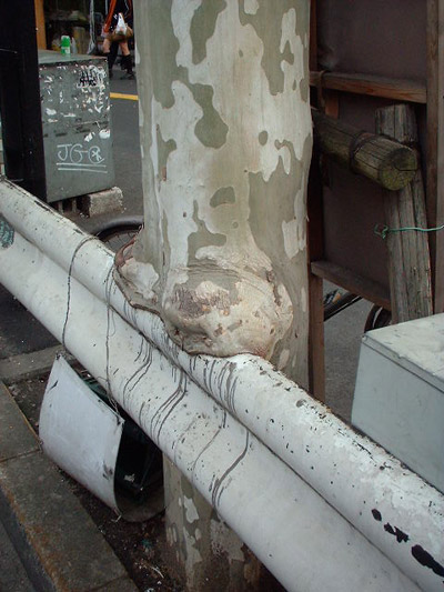 e0088570_14531928.jpg