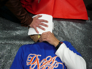 c0145379_2014356.jpg