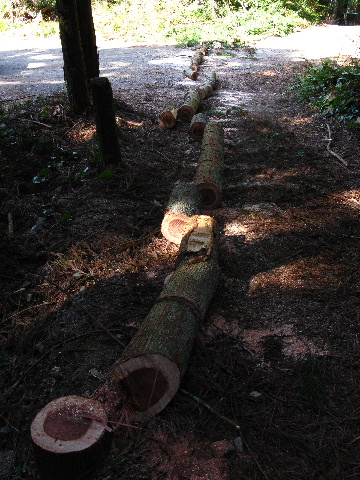 a0034990_17212964.jpg