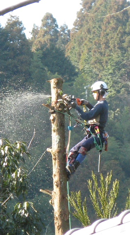 a0034990_17214351.jpg