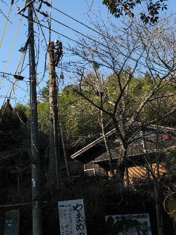 a0034990_1722096.jpg