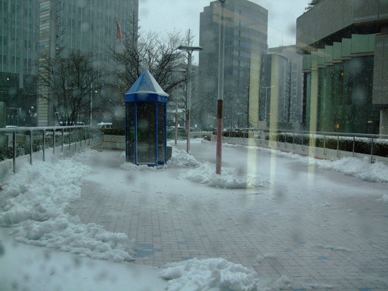 f0100593_15353753.jpg