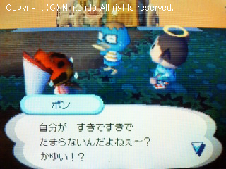 ドクとボン
