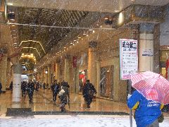 b0006405_1483434.jpg