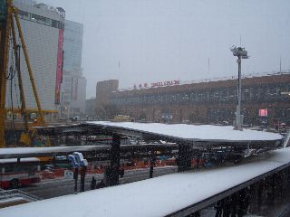 b0006405_156675.jpg