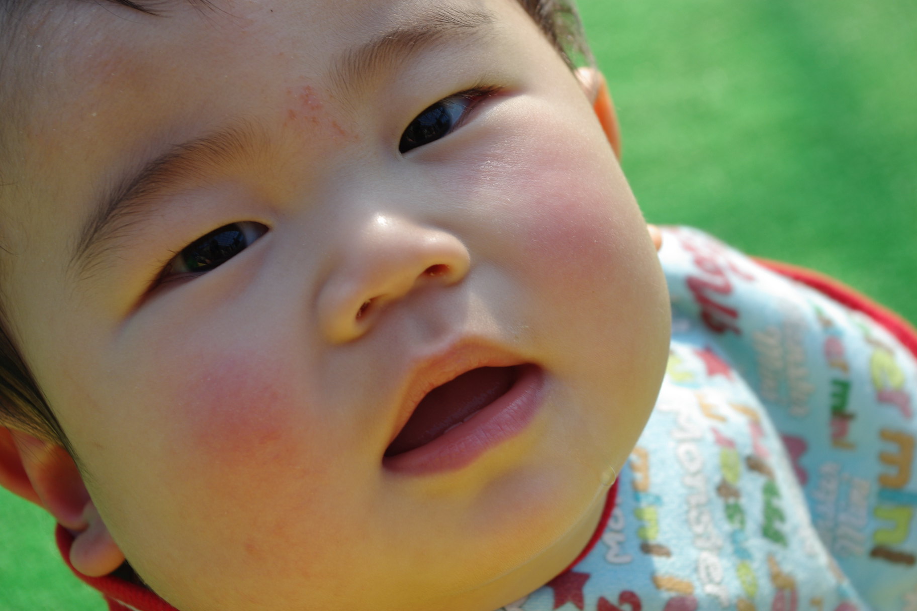 d0070007_20404189.jpg
