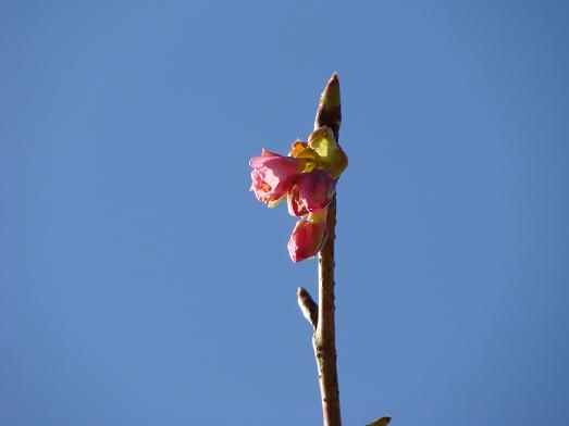 e0123808_22321056.jpg