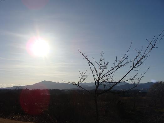 e0123808_22442465.jpg