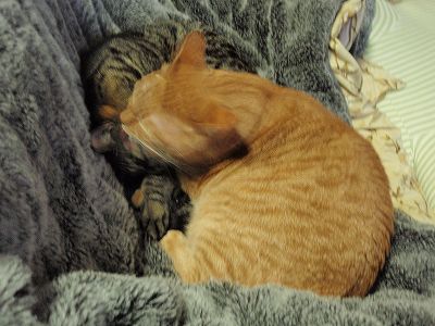 c0145016_1612736.jpg
