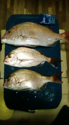 e0125217_1633371.jpg