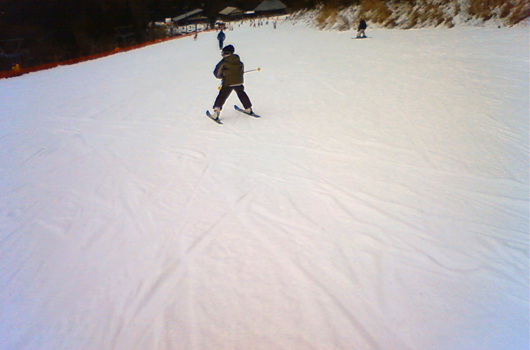 f0192920_2165343.jpg