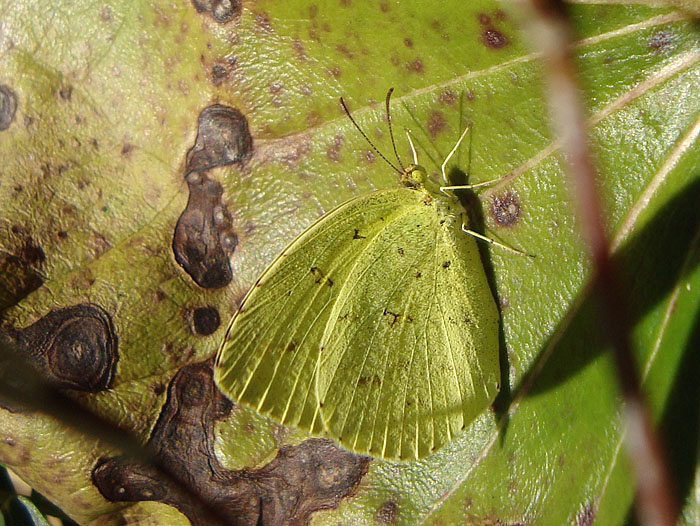 d0089024_1328333.jpg