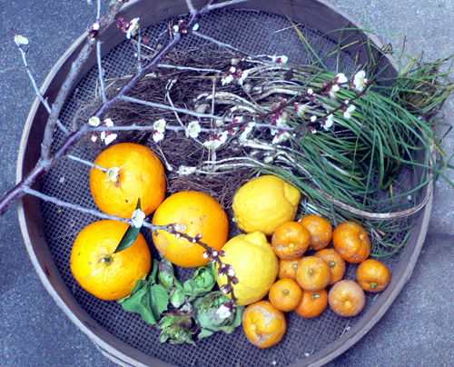 f0060424_1355264.jpg