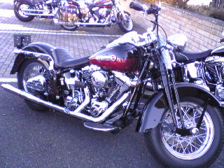a0099129_2358323.jpg