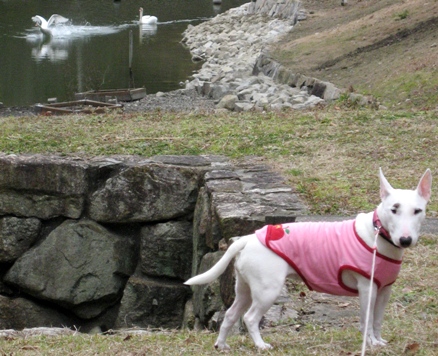 c0192330_11291324.jpg