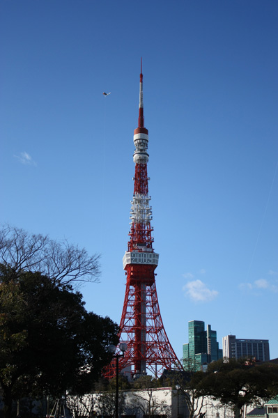 f0078132_158498.jpg