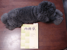 c0136736_2213121.gif