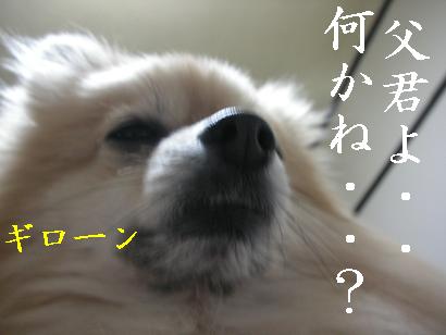 c0179136_3174873.jpg