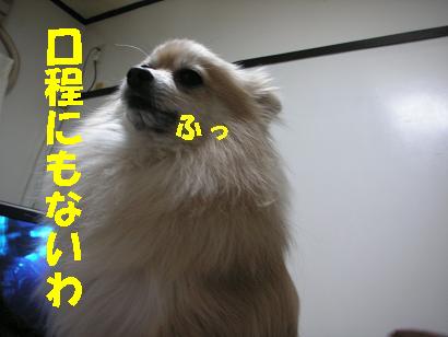 c0179136_3175711.jpg