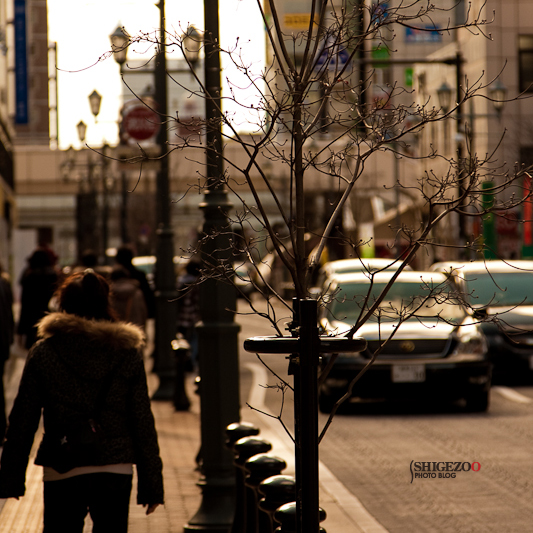b0144437_18521768.jpg