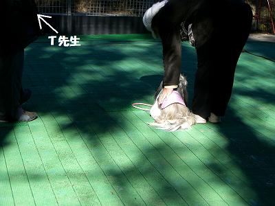 f0186040_22272126.jpg