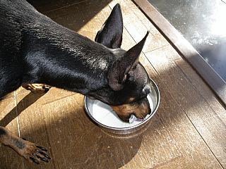 c0123149_11455581.jpg