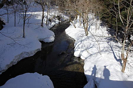 e0113053_12421871.jpg