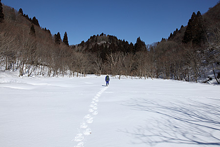 e0113053_1245365.jpg