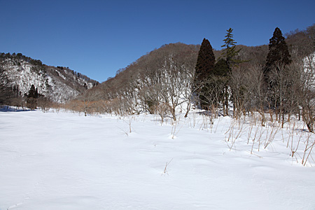 e0113053_12455677.jpg