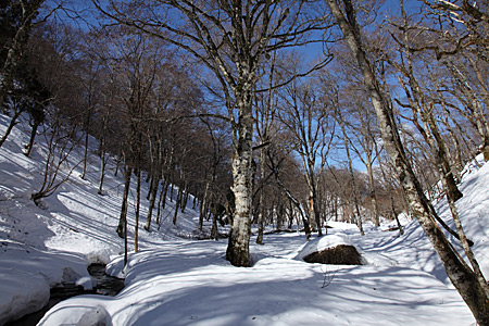 e0113053_12464560.jpg