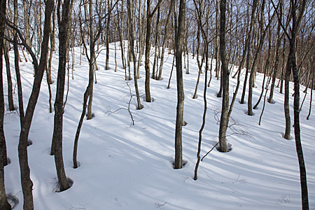 e0113053_12484515.jpg