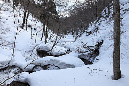 e0113053_12491455.jpg
