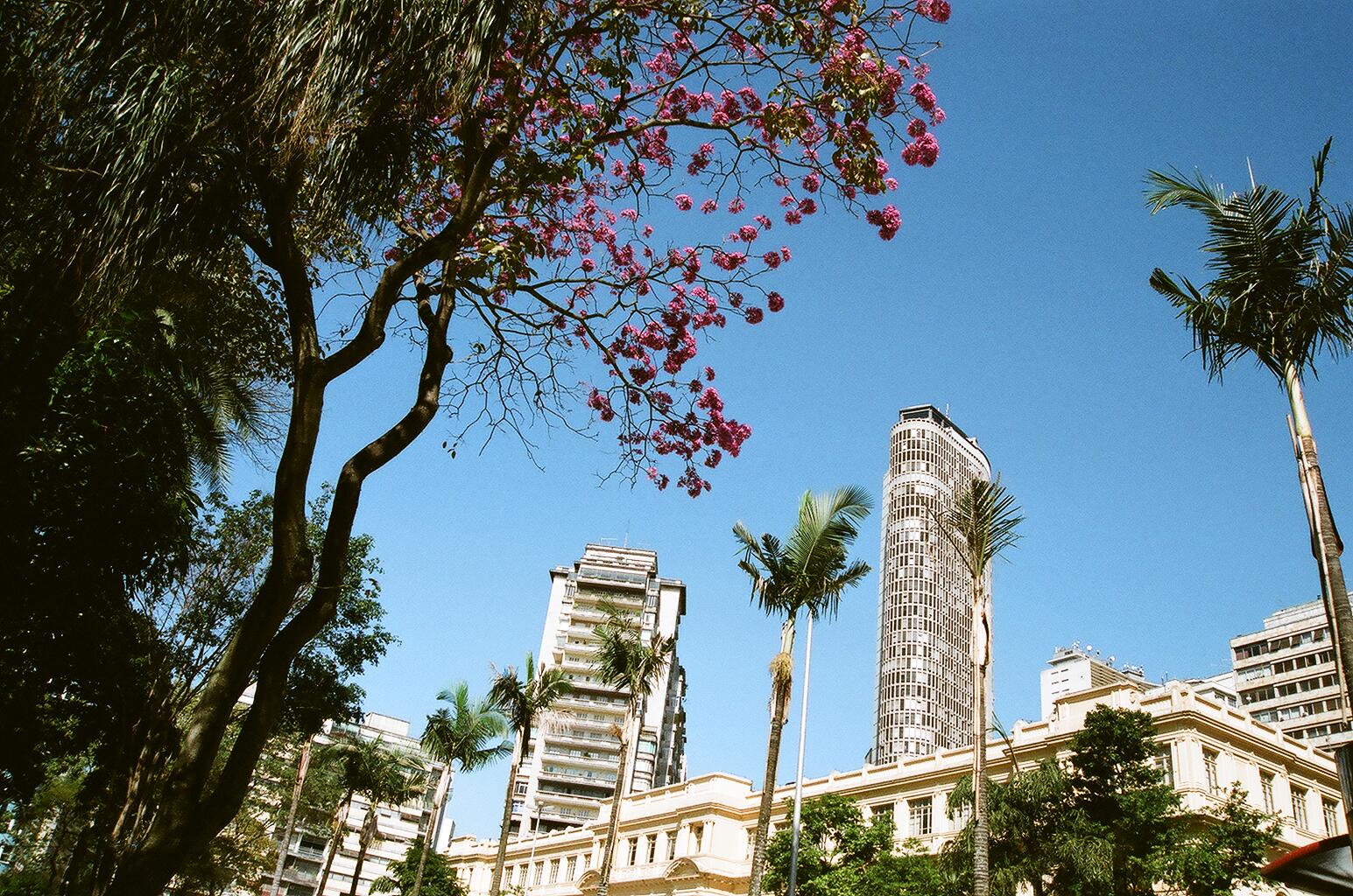 c0024558_16262348.jpg
