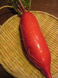 c0153259_2044884.jpg