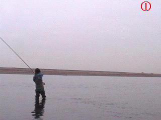 f0084561_13385580.gif