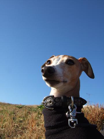 f0158862_2020126.jpg