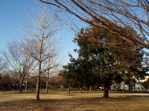 c0135363_3561785.jpg