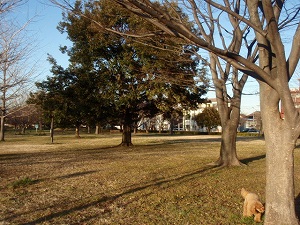 c0135363_3562548.jpg