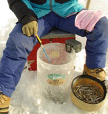 f0163063_1748158.gif