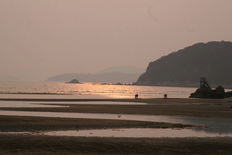 c0185066_17231026.jpg