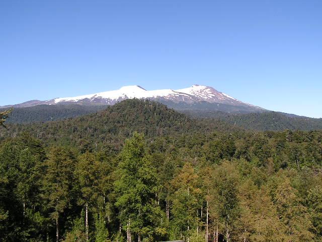 c0103368_7421168.jpg