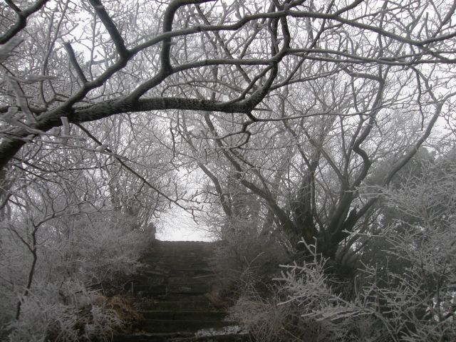c0042869_2111392.jpg