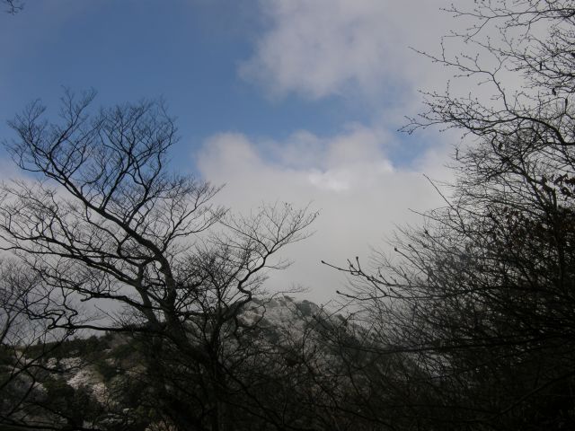 c0042869_2112208.jpg