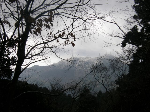 c0042869_21123519.jpg